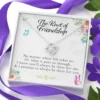 Love Knot of Friendship Gift, 2